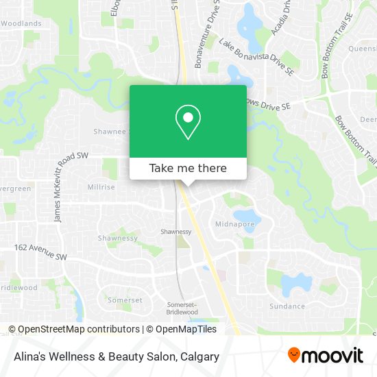 Alina's Wellness & Beauty Salon plan