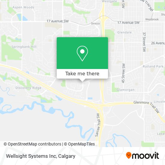 Wellsight Systems Inc plan