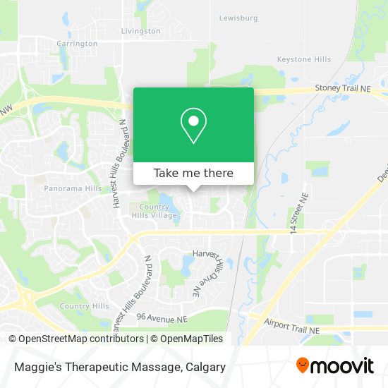 Maggie's Therapeutic Massage plan