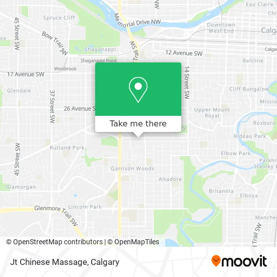 Jt Chinese Massage plan
