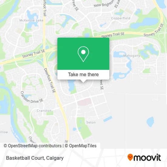 Basketball Court map