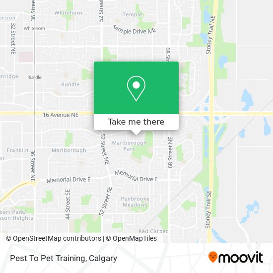 Pest To Pet Training plan
