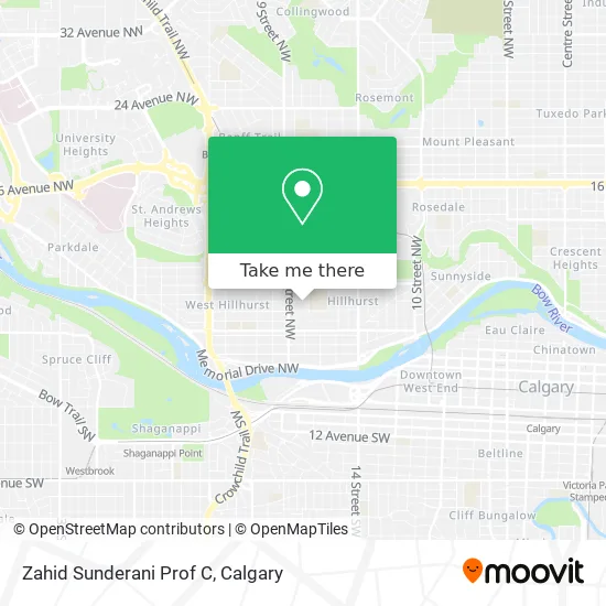 Zahid Sunderani Prof C map