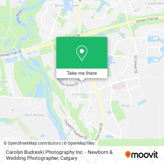Carolyn Budreski Photography Inc. - Newborn & Wedding Photographer map
