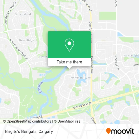 Brigite's Bengals map