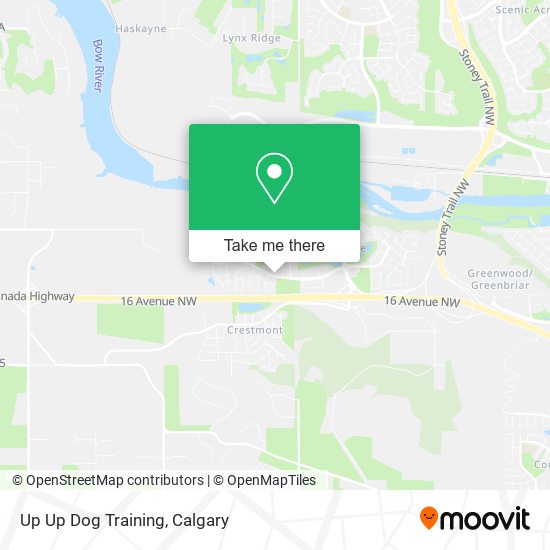 Up Up Dog Training map