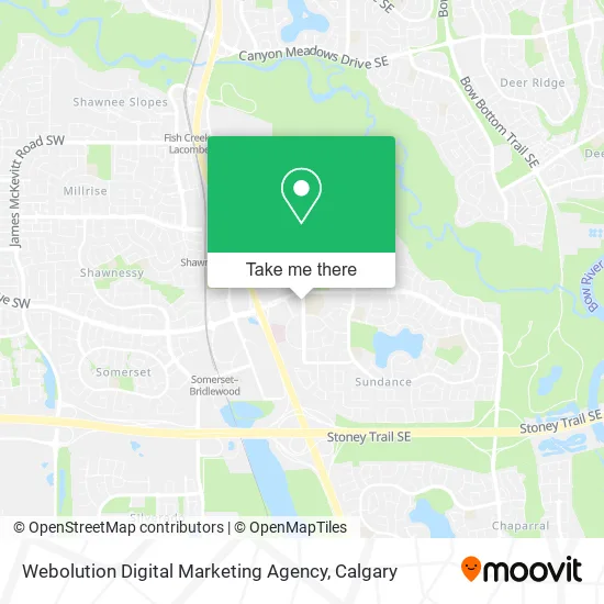 Webolution Digital Marketing Agency plan