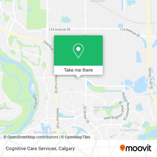 Cognitive Care Services plan