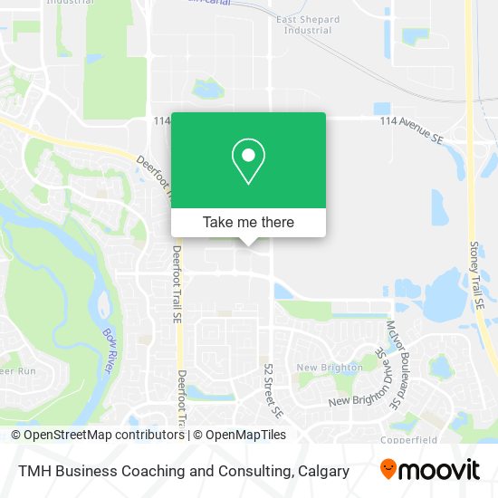 TMH Business Coaching and Consulting plan