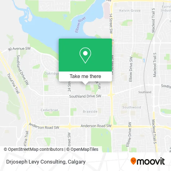 Drjoseph Levy Consulting map