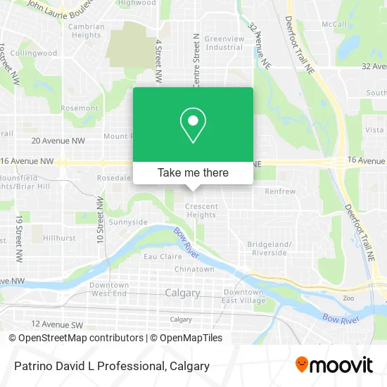 Patrino David L Professional map