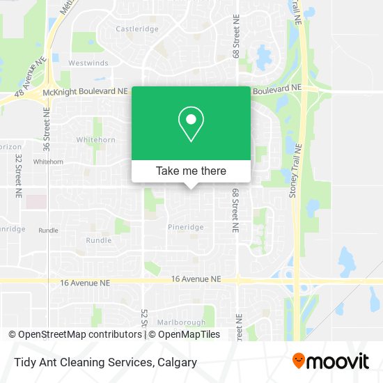 Tidy Ant Cleaning Services map