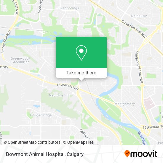 Bowmont Animal Hospital map