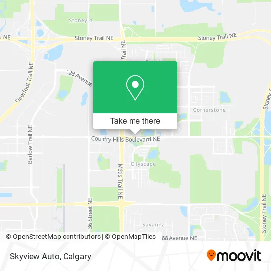 Skyview Auto map