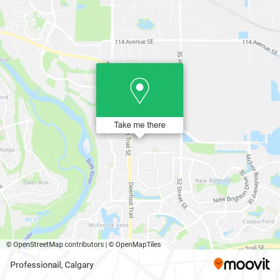 Professionail map
