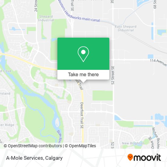 A-Mole Services plan