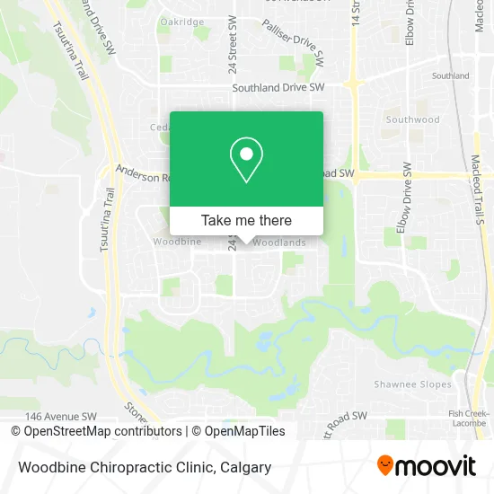 Woodbine Chiropractic Clinic map