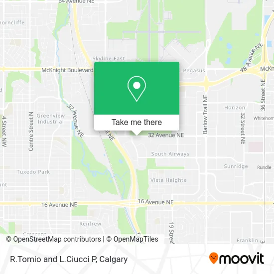 R.Tomio and L.Ciucci P map