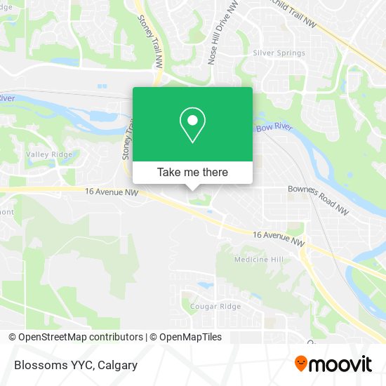 Blossoms YYC plan