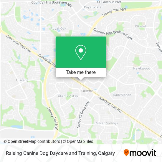 Raising Canine Dog Daycare and Training plan