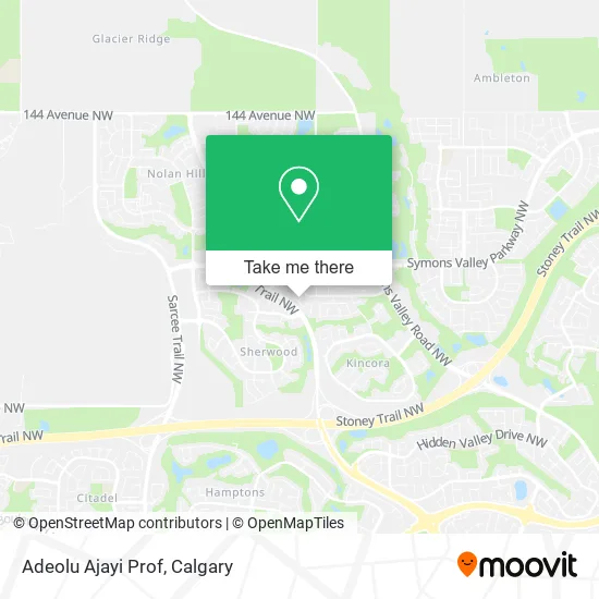 Adeolu Ajayi Prof map