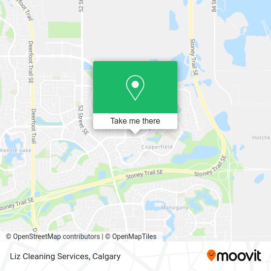 Liz Cleaning Services plan