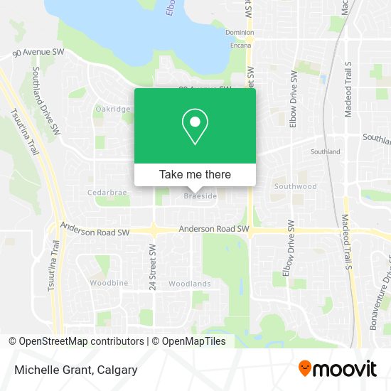 Michelle Grant plan
