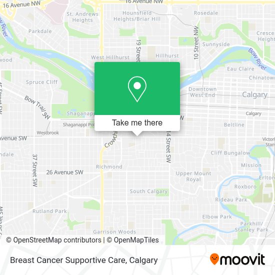 Breast Cancer Supportive Care plan