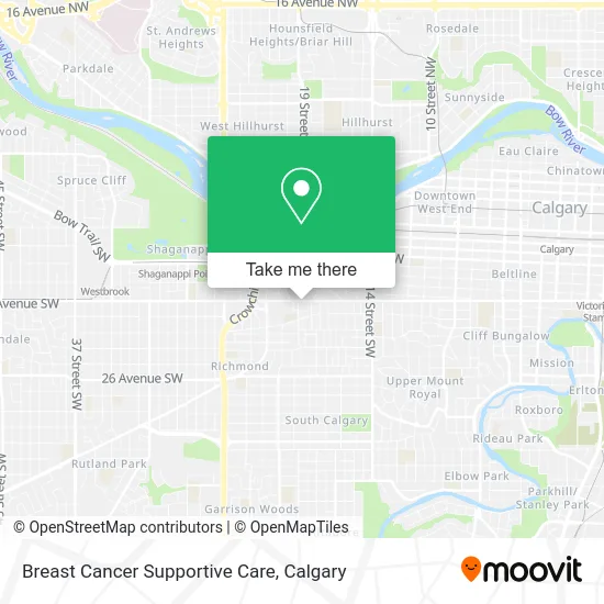 Breast Cancer Supportive Care map