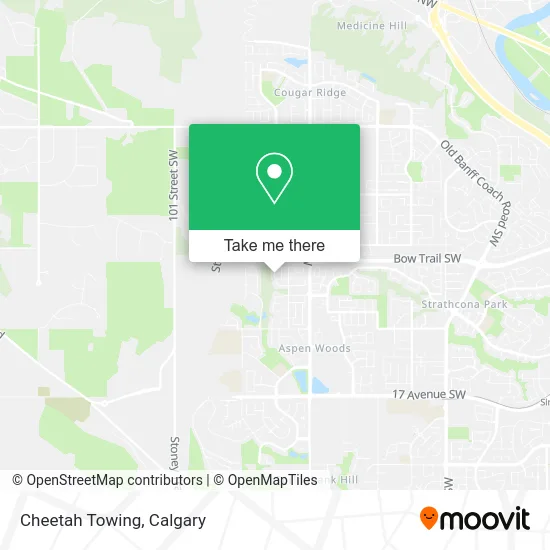 Cheetah Towing plan