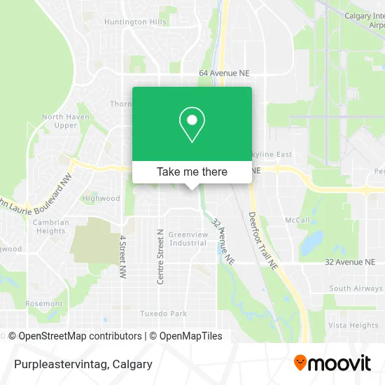 Purpleastervintag map