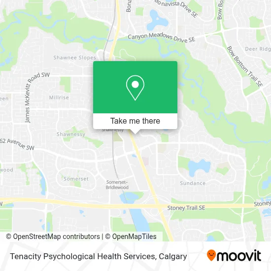 Tenacity Psychological Health Services map