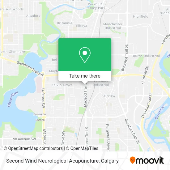 Second Wind Neurological Acupuncture map