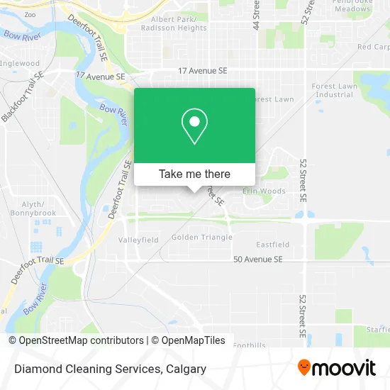 Diamond Cleaning Services map