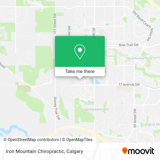 Iron Mountain Chiropractic map