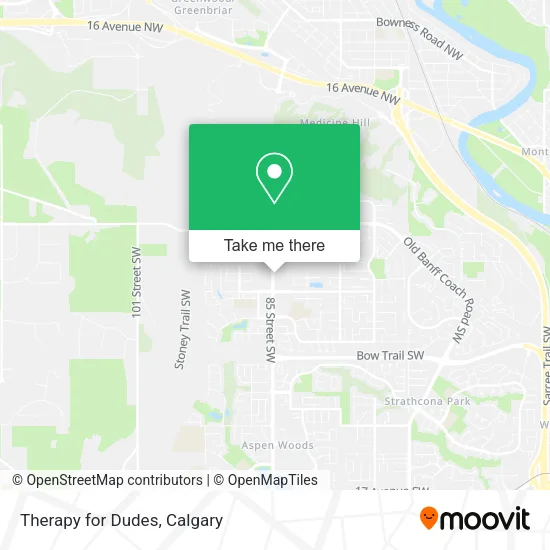 Therapy for Dudes map