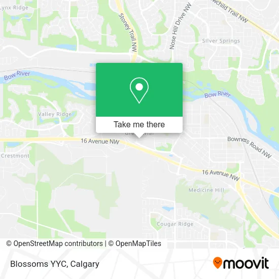 Blossoms YYC map