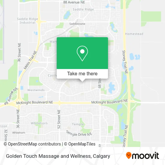 Golden Touch Massage and Wellness plan