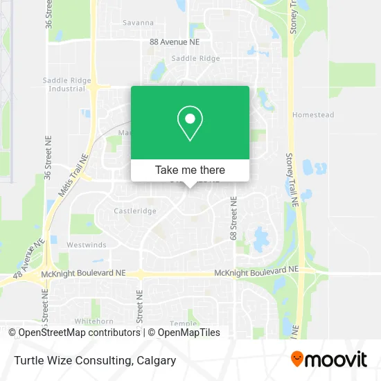 Turtle Wize Consulting map
