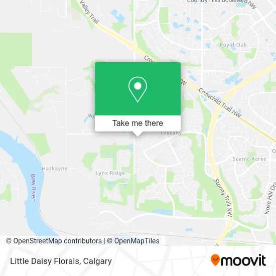 Little Daisy Florals map