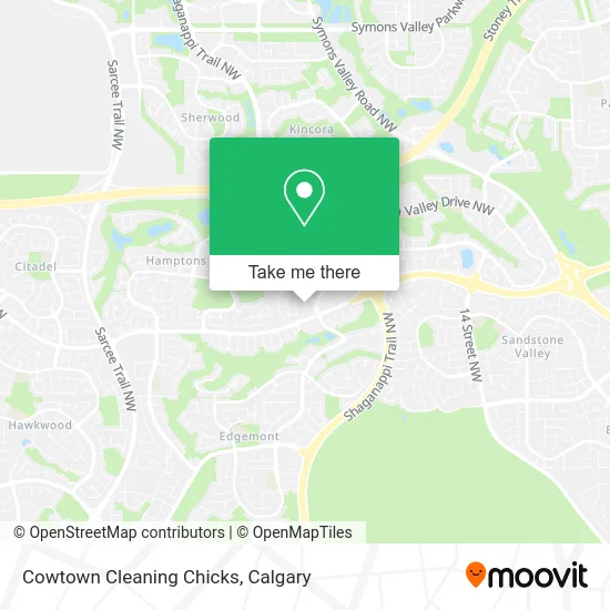 Cowtown Cleaning Chicks map