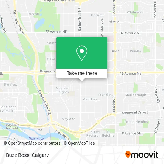 Buzz Boss map