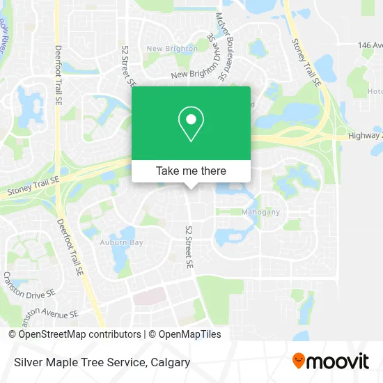 Silver Maple Tree Service map