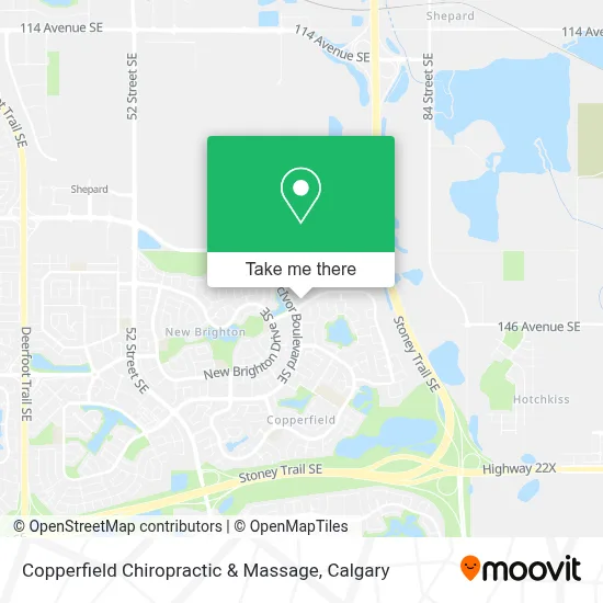 Copperfield Chiropractic & Massage map