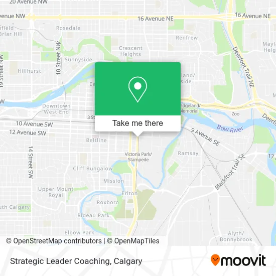 Strategic Leader Coaching map