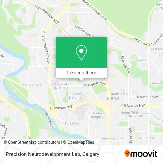 Precision Neurodevelopment Lab map