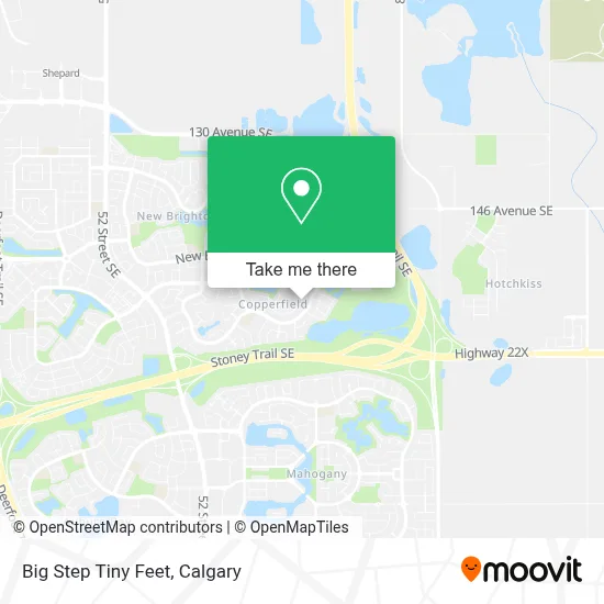 Big Step Tiny Feet map