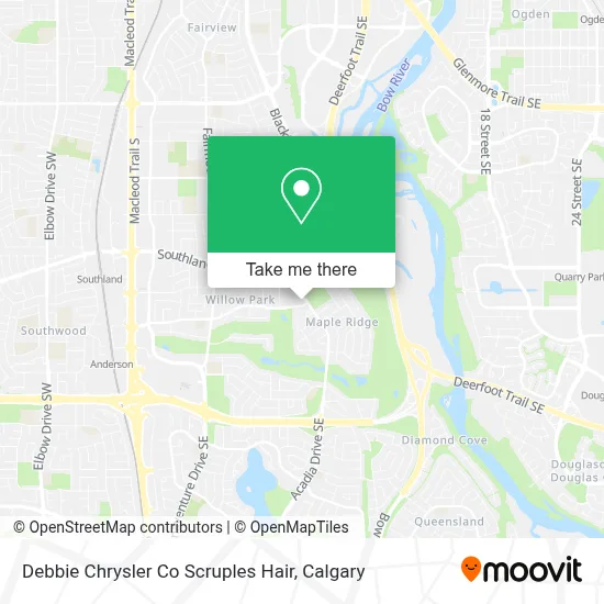 Debbie Chrysler Co Scruples Hair map