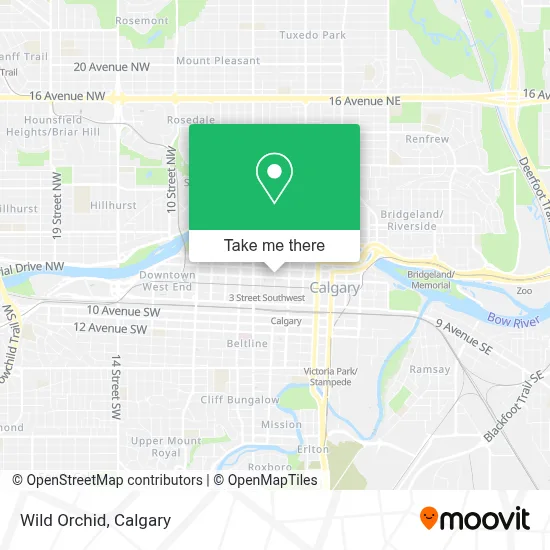 Wild Orchid map