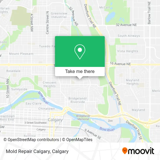 Mold Repair Calgary map